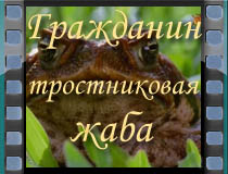  63:   