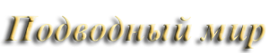 Подводный мир