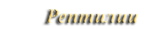 Рептилии