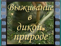Выживание в дикой природе