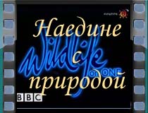 Наедине с природой